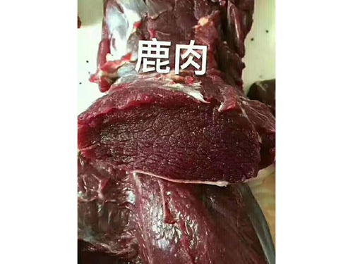 鲜鹿肉 